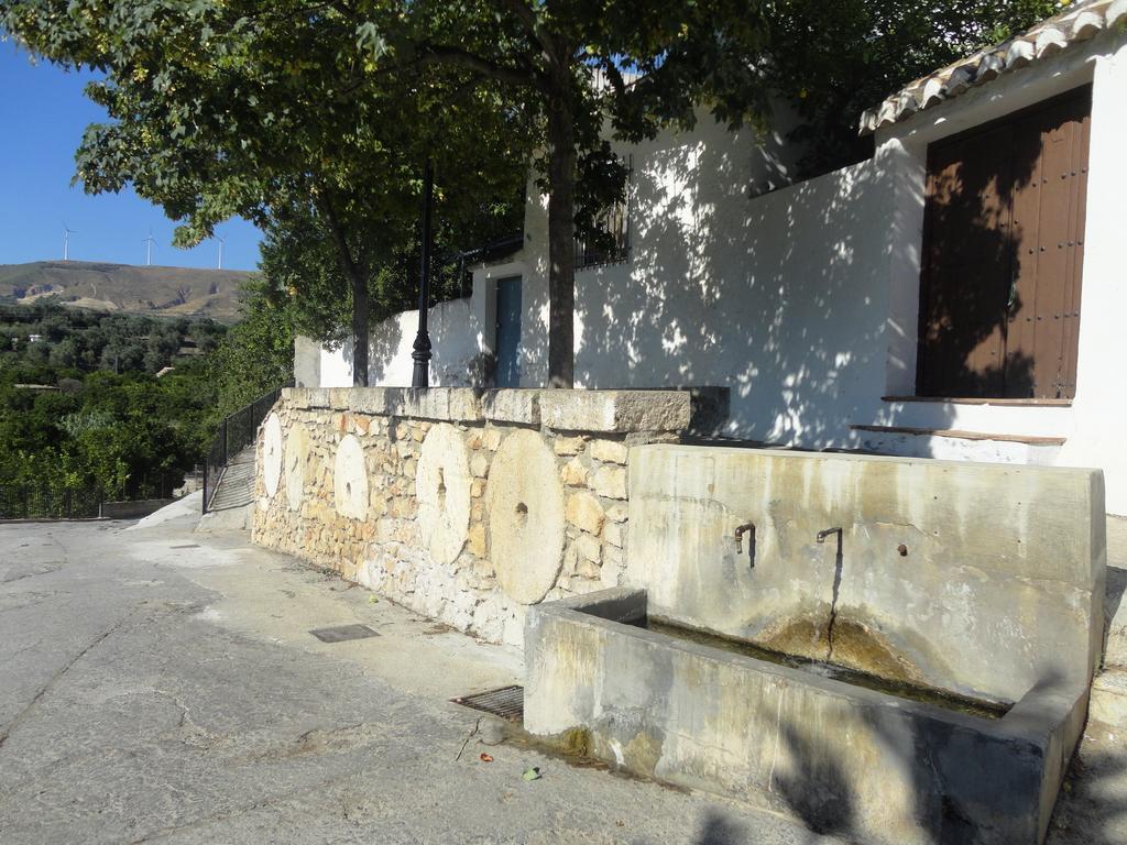 Hostal y Apartamento Rural Los Naranjos Melegís Exterior foto